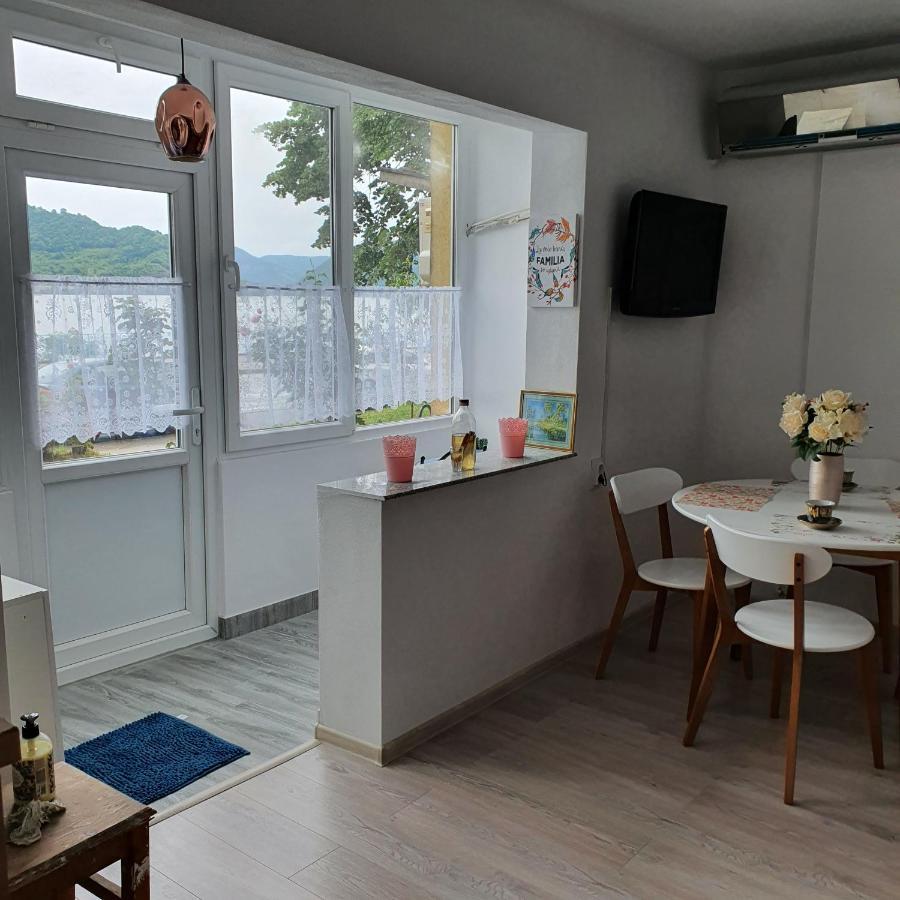 Sendy Apartment Orsova Exterior photo